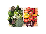Fresh tasty vegetables in wooden crates