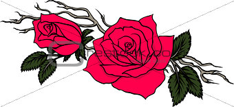 graceful branch with two red roses in vector