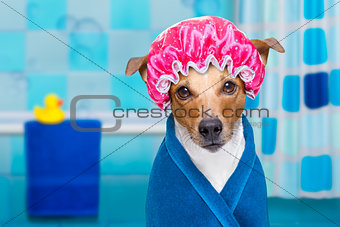 dog in shower  or wellness spa