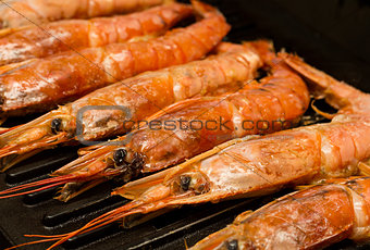 langoustines group seafood cooking on the grill appetizing delicious lunch dinner