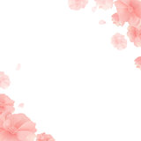 Banner With Flowers And White Background