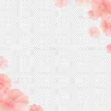 Border With Flowers And Transparent Background
