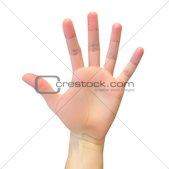 Realistic 3D Silhouette of an open hand on White Background. Vector Illustration