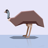 Flat design Emu
