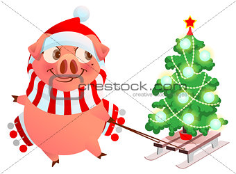 Pink pig symbol of 2019 year. Fun pig sled Christmas tree spruce