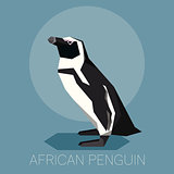 Flat African Penguin