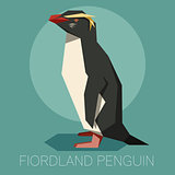 Flat Fiordland Penguin