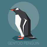 Flat gentoo penguin