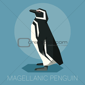 Flat Magellanic Penguin