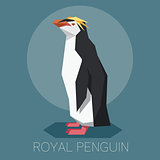 Flat Royal penguin