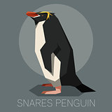 Flat snares penguin