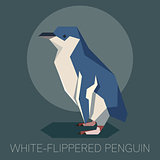 Flat white-flippered penguin