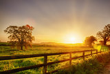 Rural sunrise over fenced field
