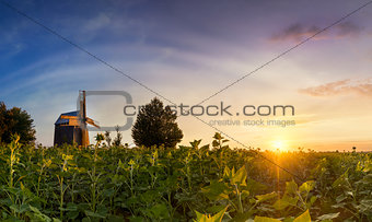Landscape of an old wooden mill in a field at colorful sunset ti