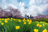 Oregon State Capitol in Spring Season