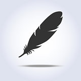 Feather icon in gray colors