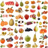 group of fruits