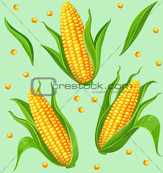 Corn cobs seamless pattern