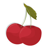 Vector illustration of two red cherries with a leaf