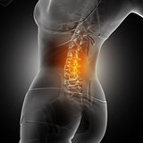 3D medical background of a female figure with spine highlighted