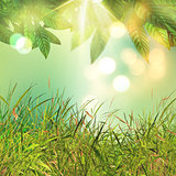 3D leaves and grass background