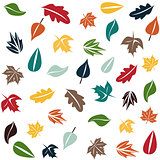 Autumn forest pattern