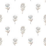 Protea flower seamless vector pattern.