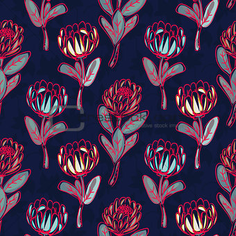 Protea hand drawn seamless vector pattern.