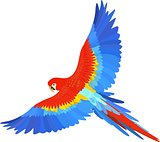 Ara macaw parrot spread wings vector