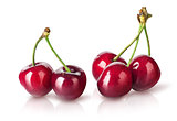 Several perfect sweet cherries