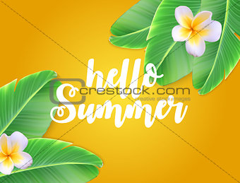 Hello Summer Natural Floral Background with Frame Vector Illustration