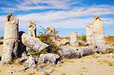Stone Forest