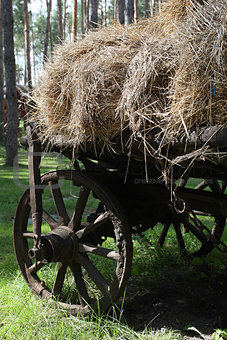 Straw bales on a cart