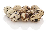 quail eggs isolate