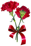 Bouquet of red carnation flower isolated on white