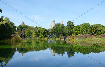 Turtle Pond, Central Park, surrounded by trees and lush plants