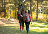beautiful long hair young woman with a horse outdoor