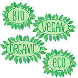 Eco, bio, organic, vegan sign in green oval badge with leaves around, vector label illustration, ecological concept stickers