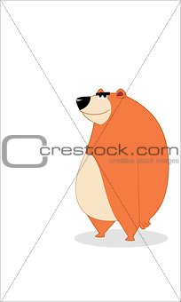 Bear illustration cartoon