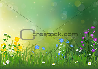 Spring Background with Colorful Flowers