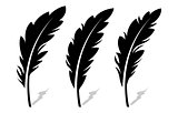 Feather vector icons