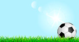 Soccer ball on a green grass lawn