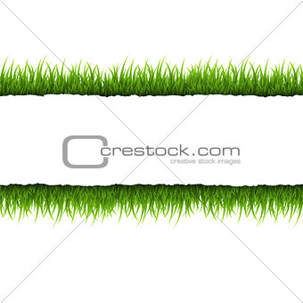Ripped Paper With Grass