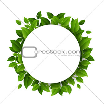 Sale Banner With Leaves Border