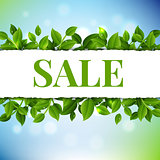 Sale Poster With Leaves And Nature Background