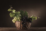 Ripe grapes in a basket still life
