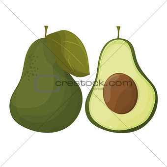 cartoon avocados. Whole and cut avocado isolated on white background.