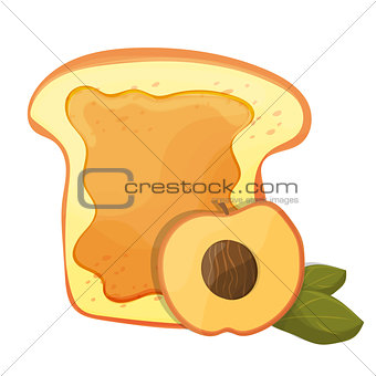 Peach or apricot jam breakfast toast, vector morning meal illustration food icon
