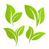 Green leaf set. Eco design