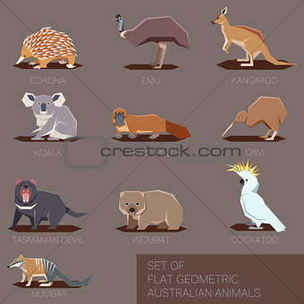 Set of flat geometric species of Australia